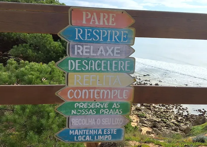 Sunshine 奥霍斯德古阿